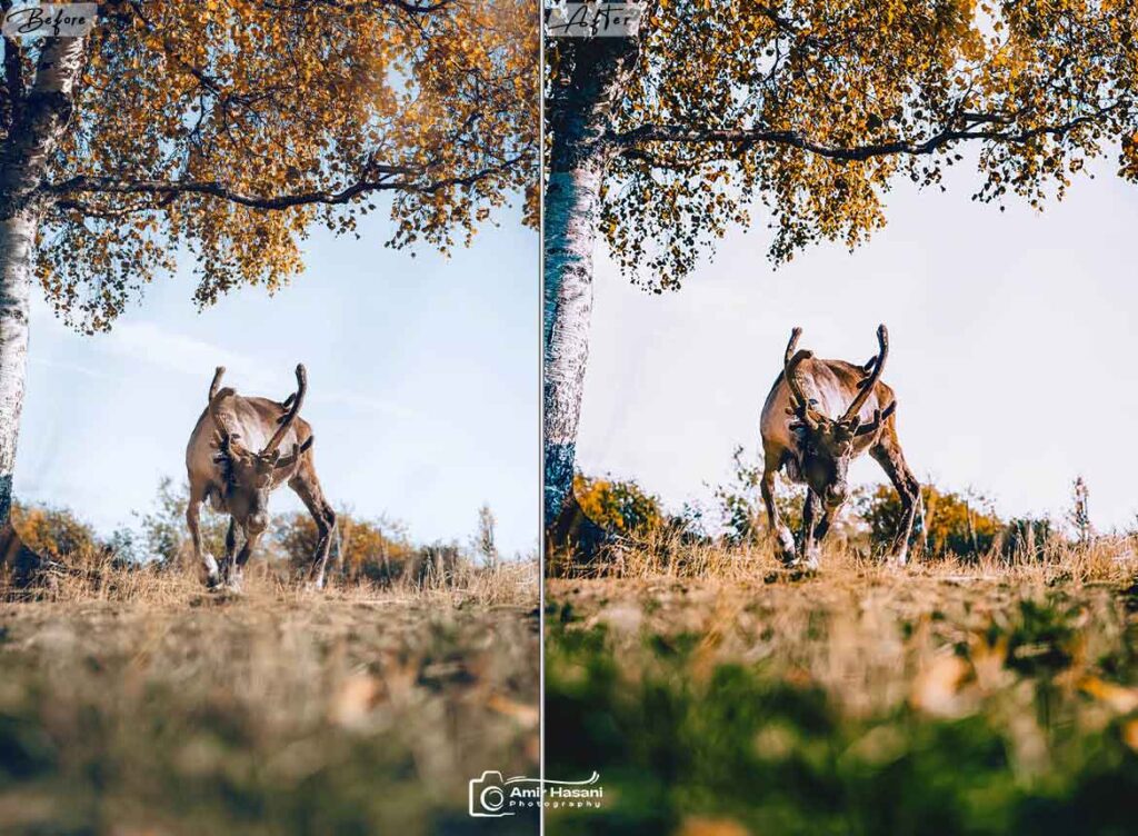 دانلود پریست سینمایی لایت‌روم و فتوشاپ