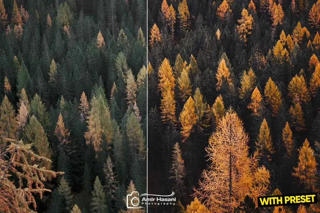 پریست پرتره لایت روم ARTA برای چه عکس‌هایی مناسب است؟